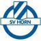  SV霍恩