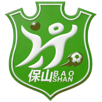保山队